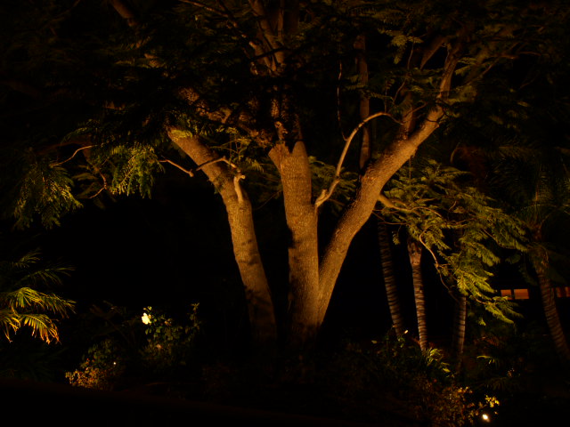 Newbury Park Landscape Lighting 